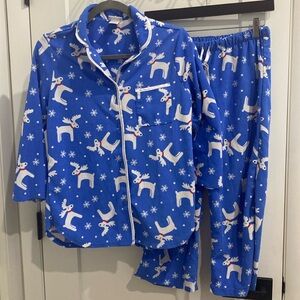 Taylor Marcs 2 Piece Ultra soft Pajamas | Size Small